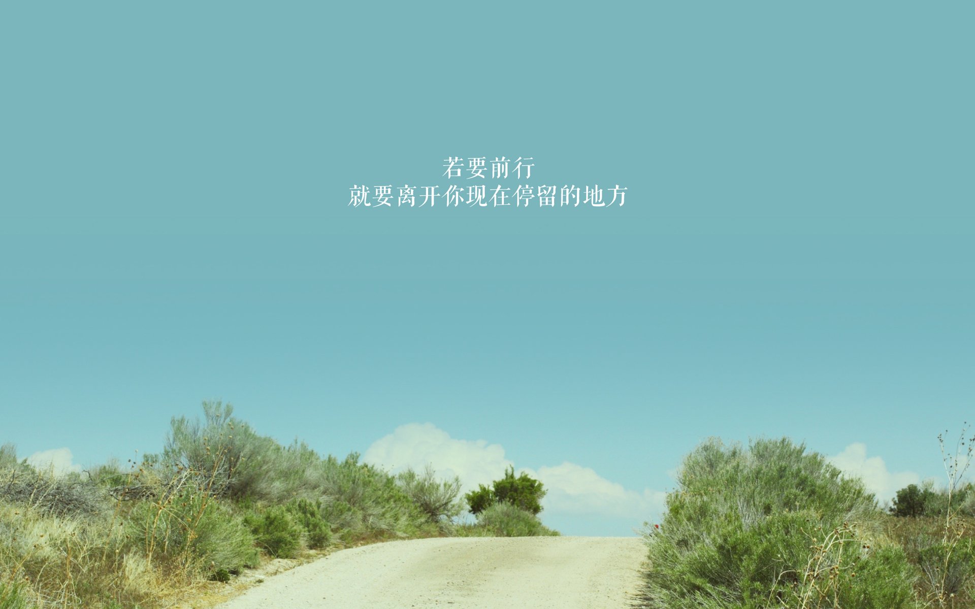 世界体操公开赛：完美落地成为裁判关注焦点，世界体操大赛包括